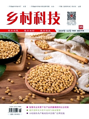 鄉村科技